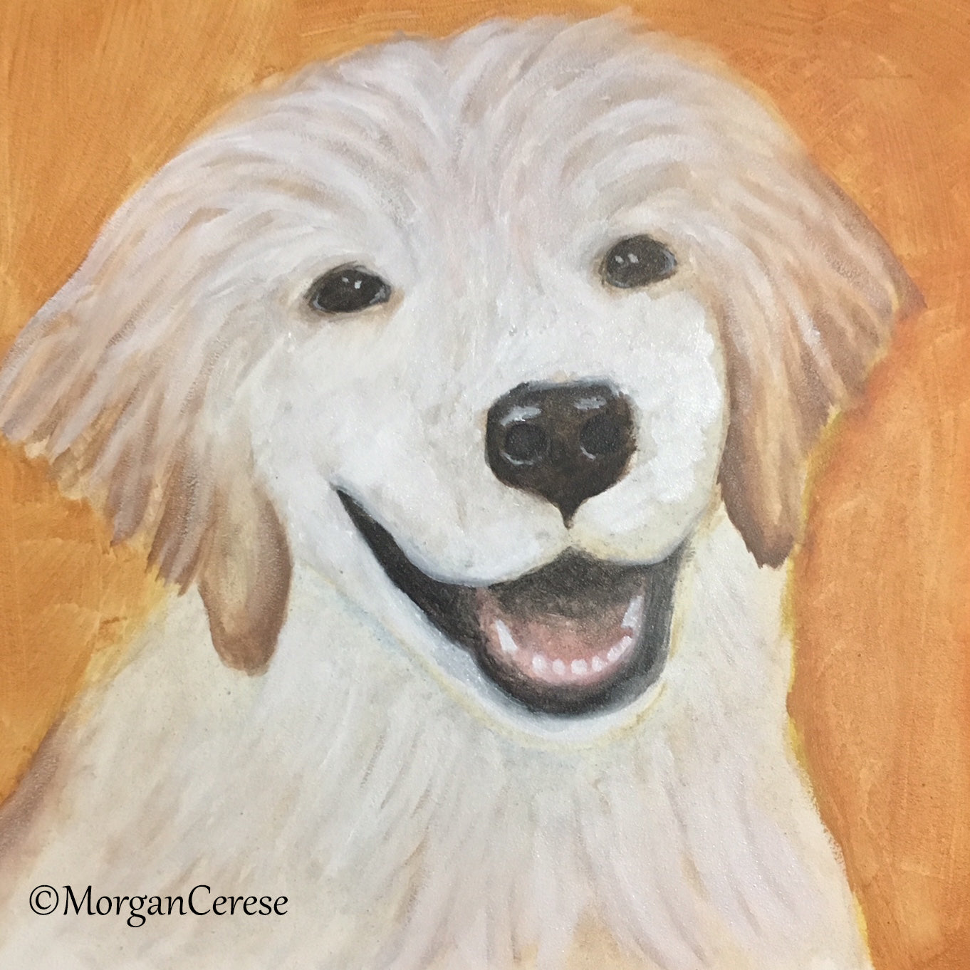 Custom Pet Portrait - Morgan Cerese Art